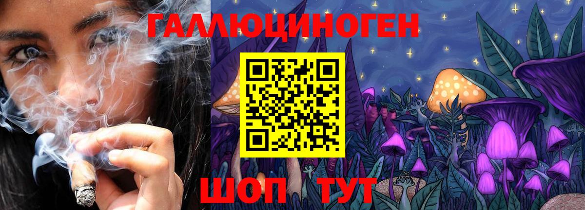 Галлюциногенные грибы GOLDEN TEACHER Беслан