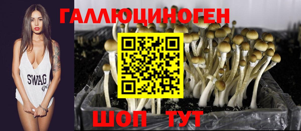 Псилоцибиновые грибы Psilocybe  цена наркотик  Беслан 
